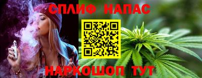 стафф Кинель