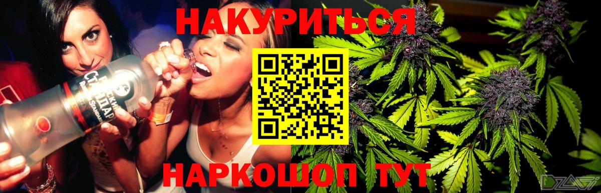 Канабис сатива  Шишки марихуана план  Вход с VPN  Каннабис индика  Зима  Канабис семена 